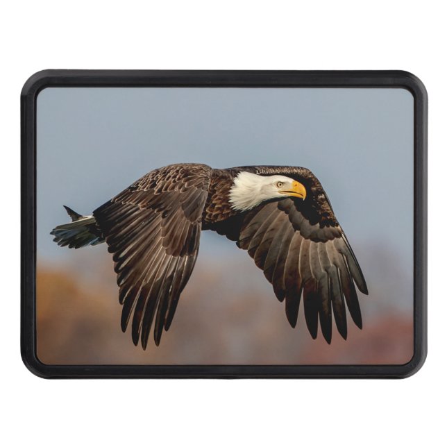 Bald Eagle in flight Trailer Hitch Cover (Front)