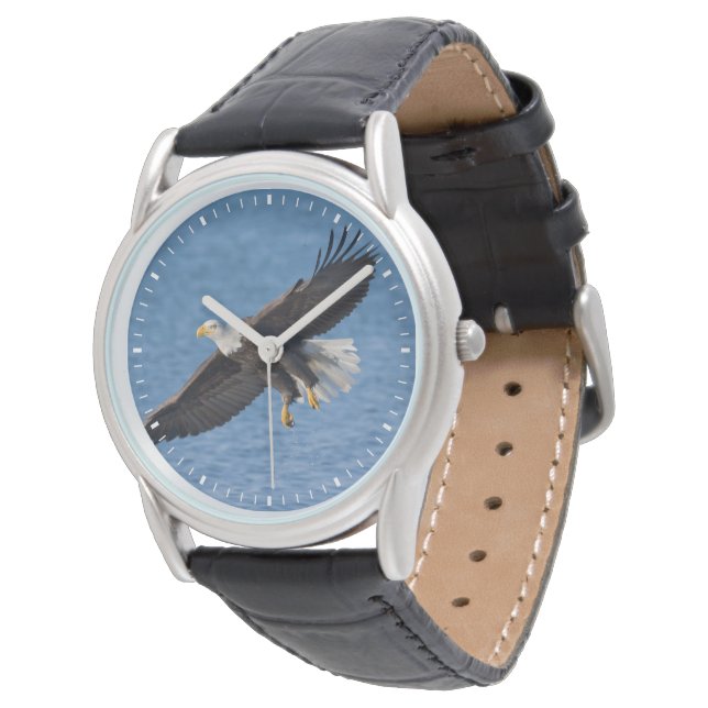 Bald eagle in flight watch (Angled)