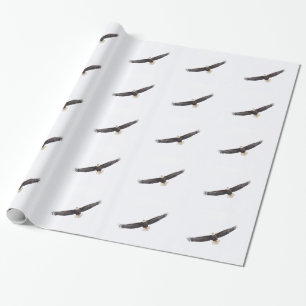 Bald Eagle in flight Wrapping Paper