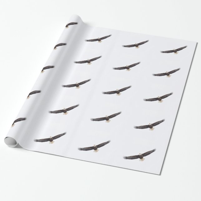 Bald Eagle in flight Wrapping Paper (Unrolled)