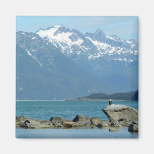 Bald Eagle in Skagway Alaska Magnet