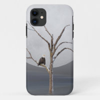 Bald Eagle in tree