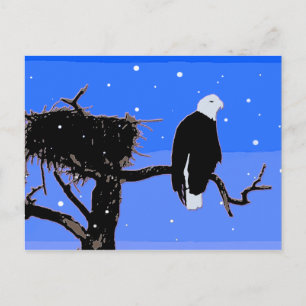 Bald Eagle in Winter - Original Wildlife Art Postcard