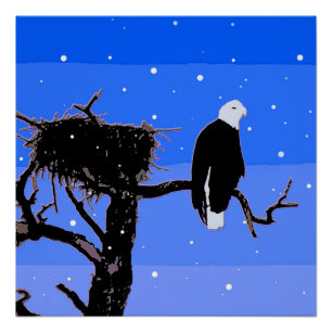 Bald Eagle in Winter - Original Wildlife Art Poster