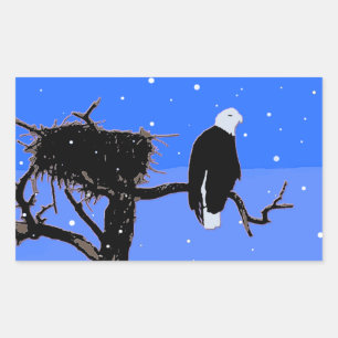 Bald Eagle in Winter  - Original Wildlife Art Sticker