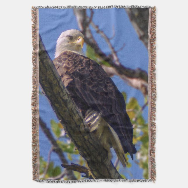 Bald Eagle Jetez la couverture (devant Vertical)