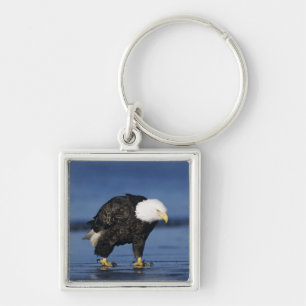 Bald Eagle Keychain