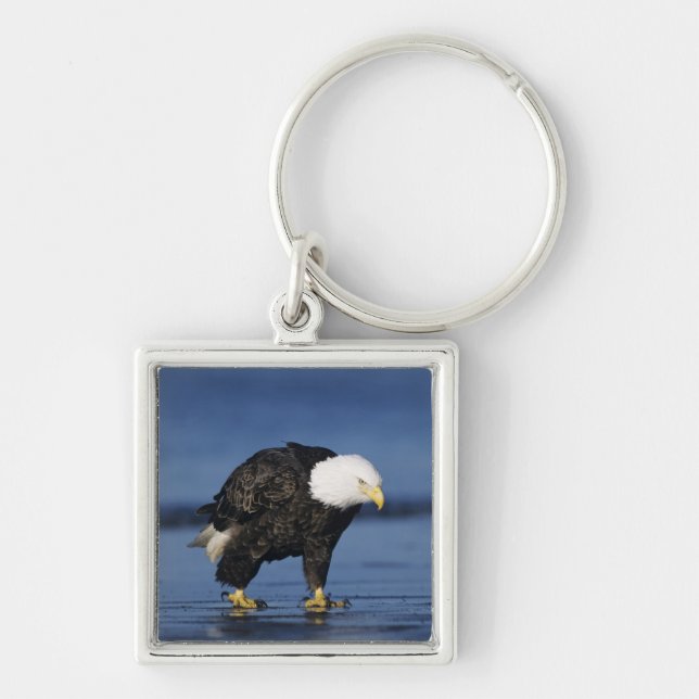 Bald Eagle Keychain (Front)