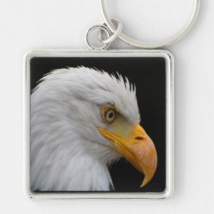 Bald Eagle Keychain