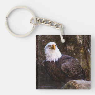 Bald Eagle  Keychain
