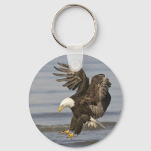 bald eagle keychain
