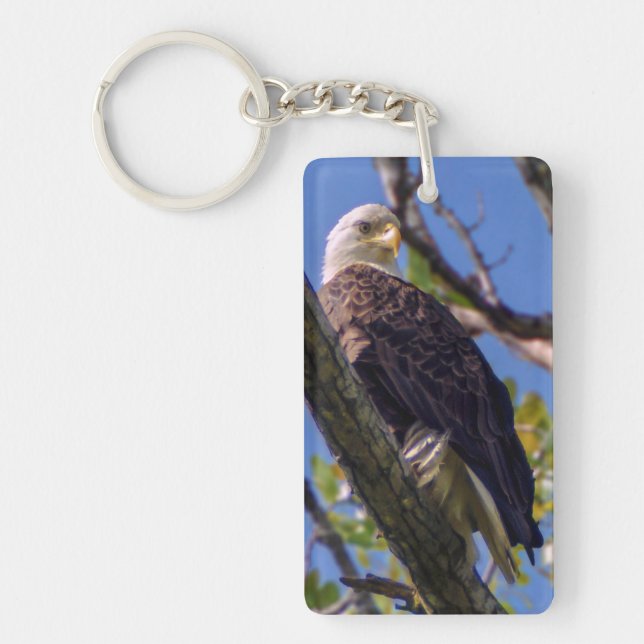 Bald Eagle Keychain (Front)