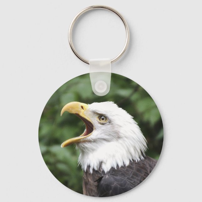 Bald eagle keychain (Front)