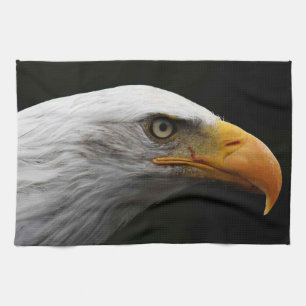 Bald Eagle ktcn Kitchen Towel