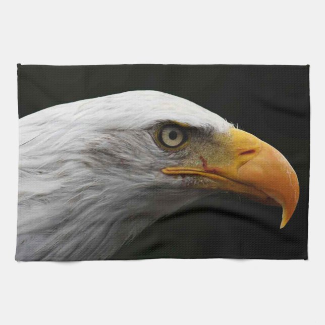 Bald Eagle ktcna Kitchen Towel (Horizontal)