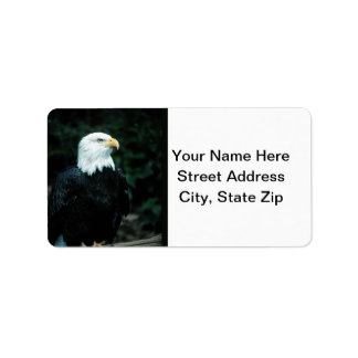 Bald Eagle Label