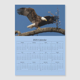 Bald Eagle Landing Calendar
