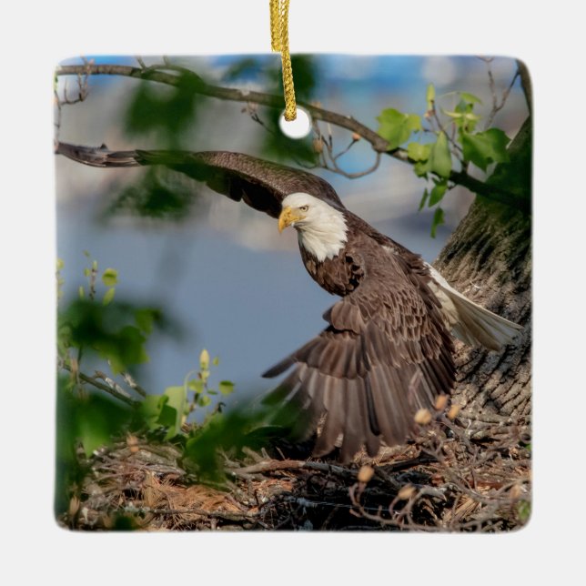 Bald Eagle leaving the nest Ceramic Ornament (Front)