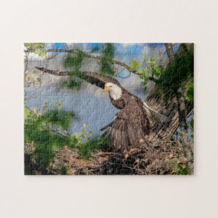 Bald Eagle leaving the nest Jigsaw Puzzle