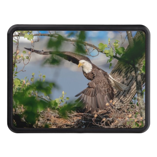 Bald Eagle leaving the nest Trailer Hitch Cover (Front)