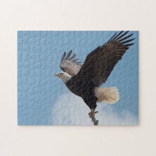 Bald Eagle Lifting Off - Puzzle