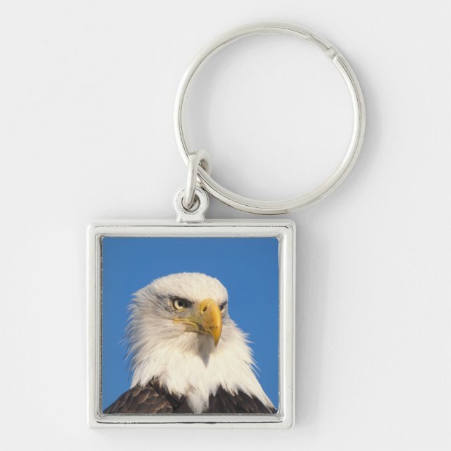 Bald Eagle Look Keychain (Front)