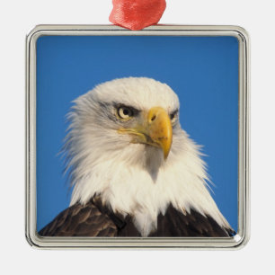 Bald Eagle Look Metal Ornament