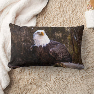 Bald Eagle Lumbar Pillow