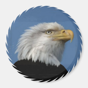 BALD EAGLE -MAGNET MAGNET