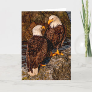 Bald Eagle  Mates  Thank You Card
