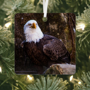 Bald Eagle Metal Ornament