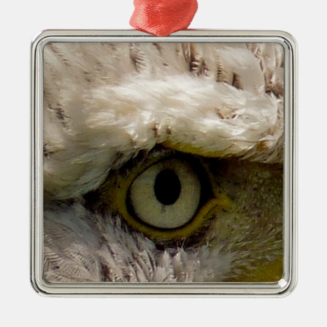 BALD EAGLE METAL ORNAMENT (Front)