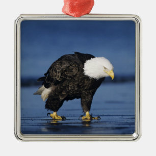 Bald Eagle Metal Ornament