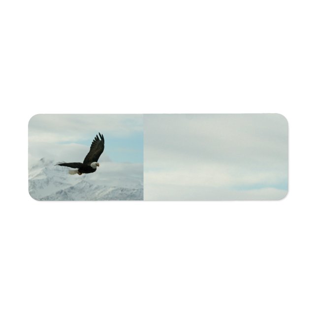 Bald Eagle & montagnes (Devant)