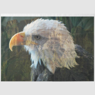 Bald Eagle Mountain Blend Tissue Paper