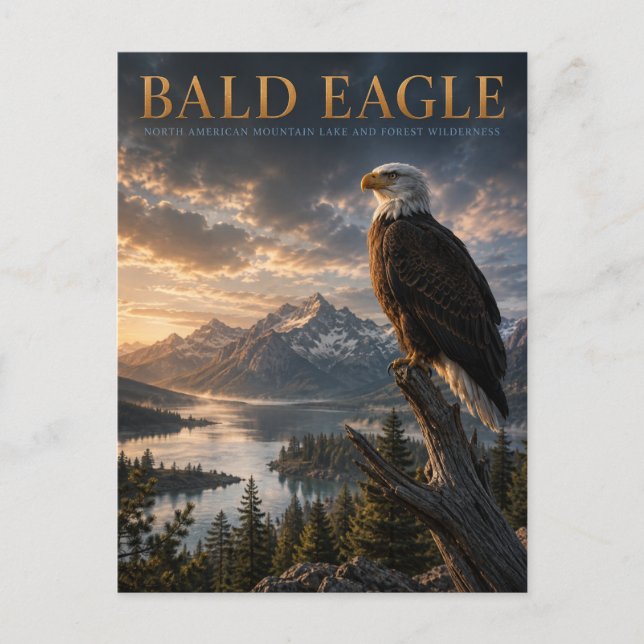 Bald Eagle Mountain Lake ANIMALS Postcard (Front)