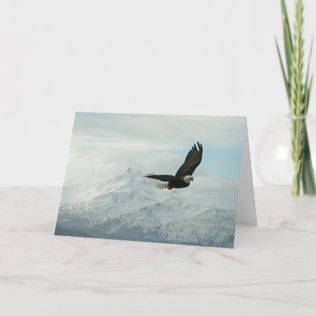 Bald eagle & mountains card (Front)