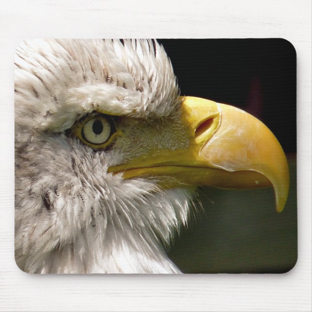 BALD EAGLE MOUSE PAD (Front)