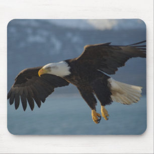 Bald Eagle Mouse Pad