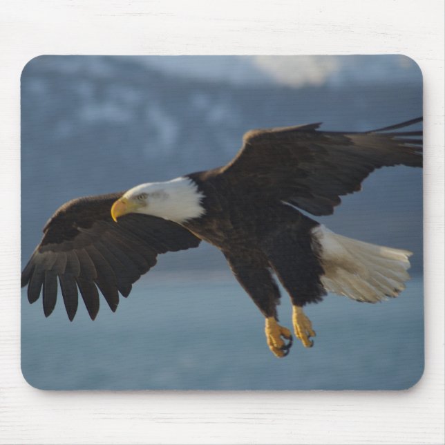 Bald Eagle Mouse Pad (Front)
