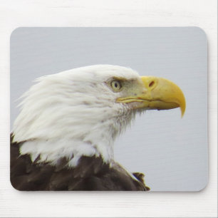Bald Eagle Mouse Pad