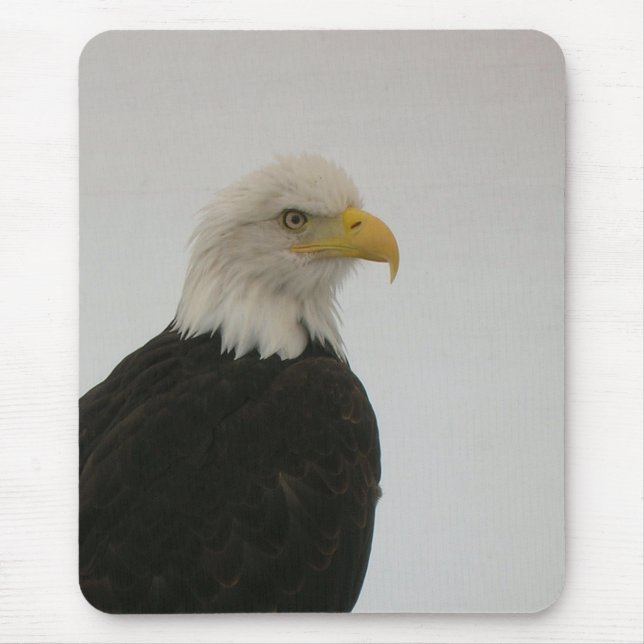 Bald Eagle Mouse Pad (Front)