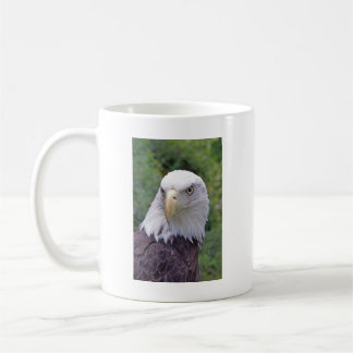 Bald Eagle mug