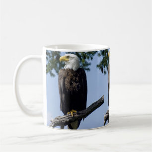 Bald Eagle Mugs