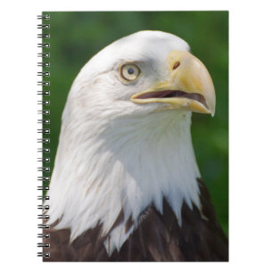Bald Eagle Notebook