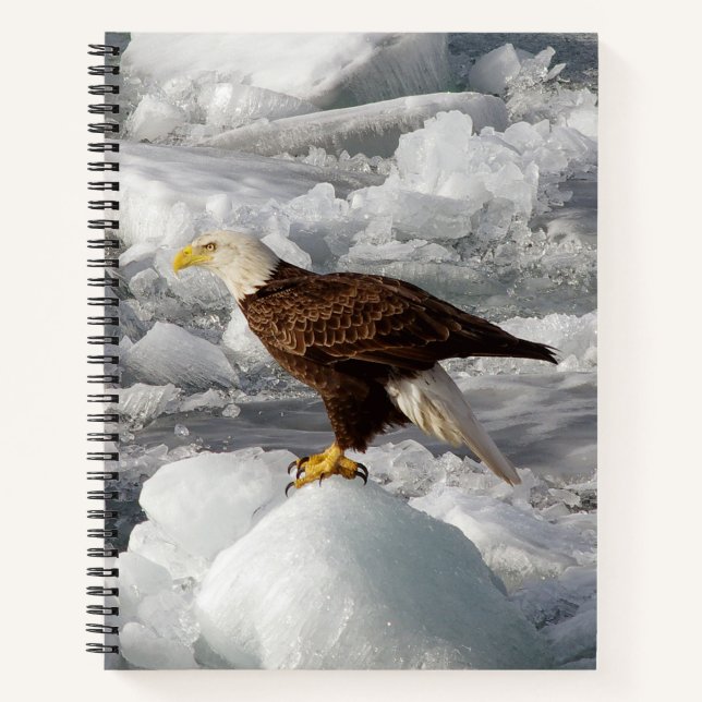 Bald Eagle notebook (Front)