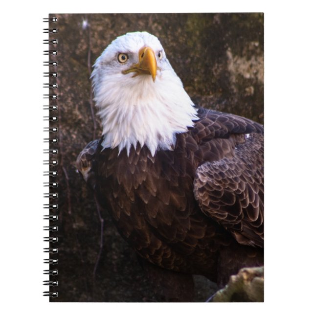 Bald Eagle Notebook (Front)