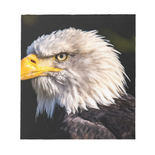 Bald Eagle Notepad