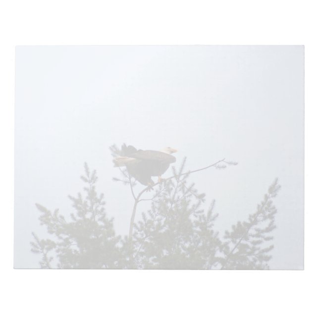 Bald Eagle Notepad (Front)