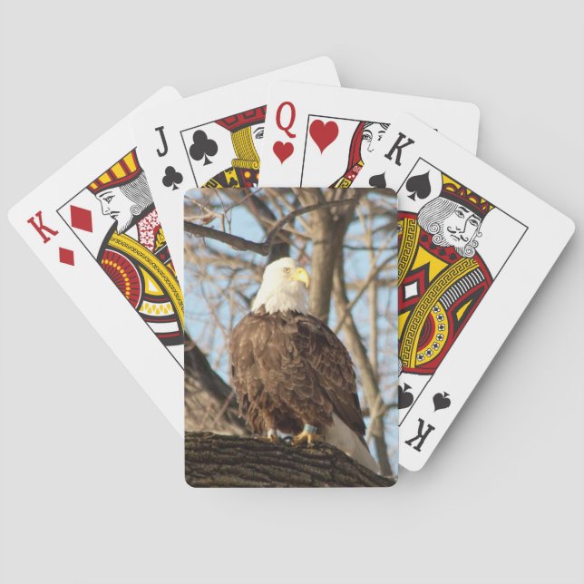 Bald Eagle on a branch Playing Cards (Back)